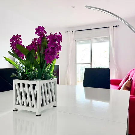 Atalaya Alma Con Terraza Y Piscina Comunitaria En Conil Zona Tranquila Cerca Al Mar Apartment Conil De La Frontera